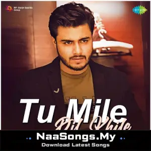 Tu Mile Dil Khile - Raj Barman