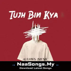 Tujh Bin Kya