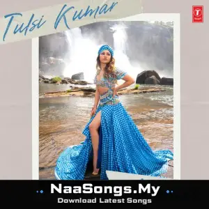 Tulsi Kumar Essentials