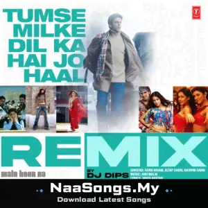 Tumse Milke Dil Ka Hai Jo Haal Remix