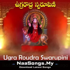 Ugra Roudra Swarupini - Katyayni Navadurga