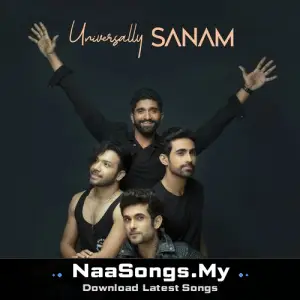 Universally SANAM