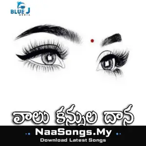Vaalu Kannula Dhanaa mp3 download