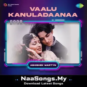 Vaalu Kanuladaanaa - Retro Mix