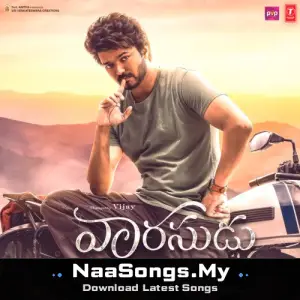 Vaarasudu