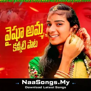 Vaishu Amma Kanniti Pata