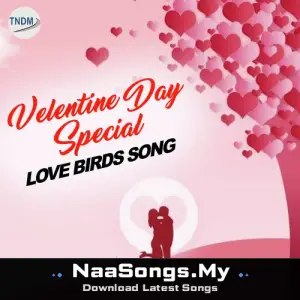 Valentine Day Special Love Birds Song