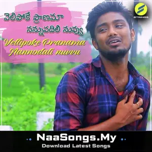 Vellipoke Pranama Nannodali Nuvvu