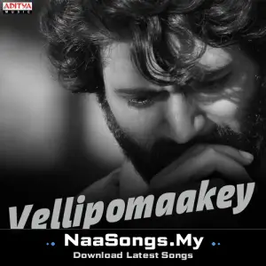 Vellipomaakey