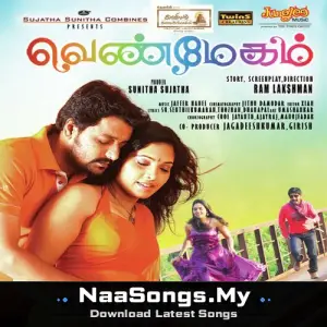 Venmegam