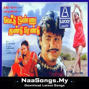 Vettu Onnu Thundu Rendu