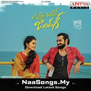 Vunnadhi Okate Zindagi