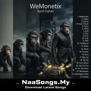 WeMonetix