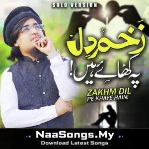 Zakhm Dil Pe Khaye Hain (Solo Version)