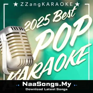 ZZang KARAOKE 2025 POP Vol.238