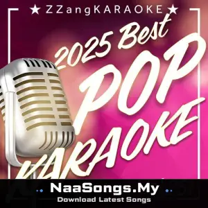 ZZang KARAOKE 2025 POP Vol.251